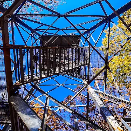 Dorset Lookout Tower