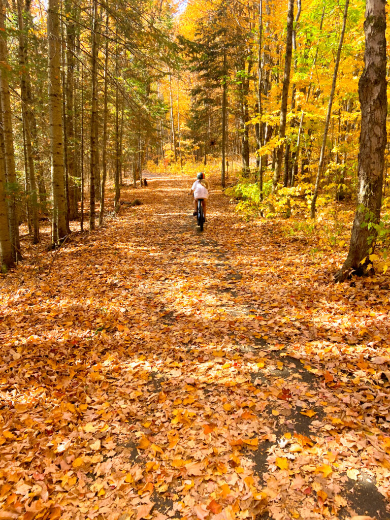 Fairy Vista Recreational Trail