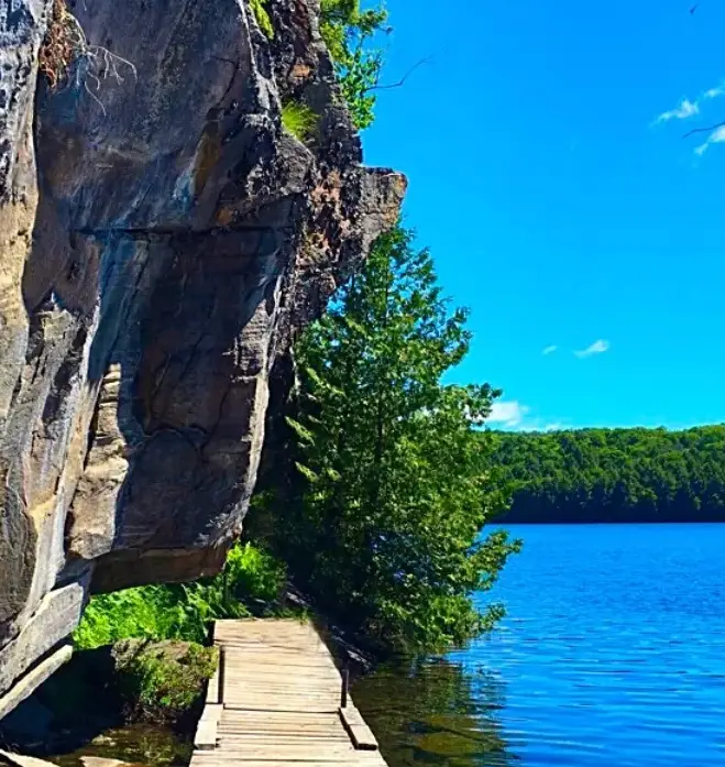 Limberlost Forest Hiking Trails