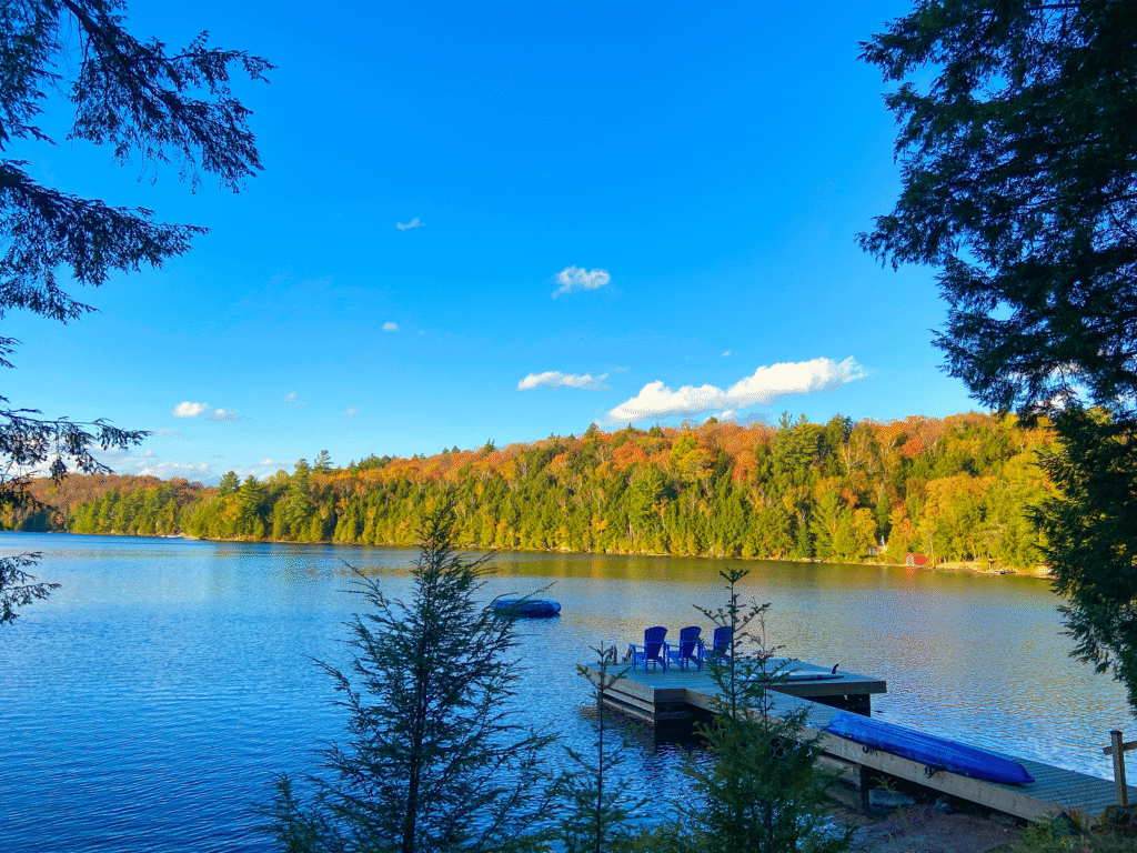 Fall Lake View in Muskoka