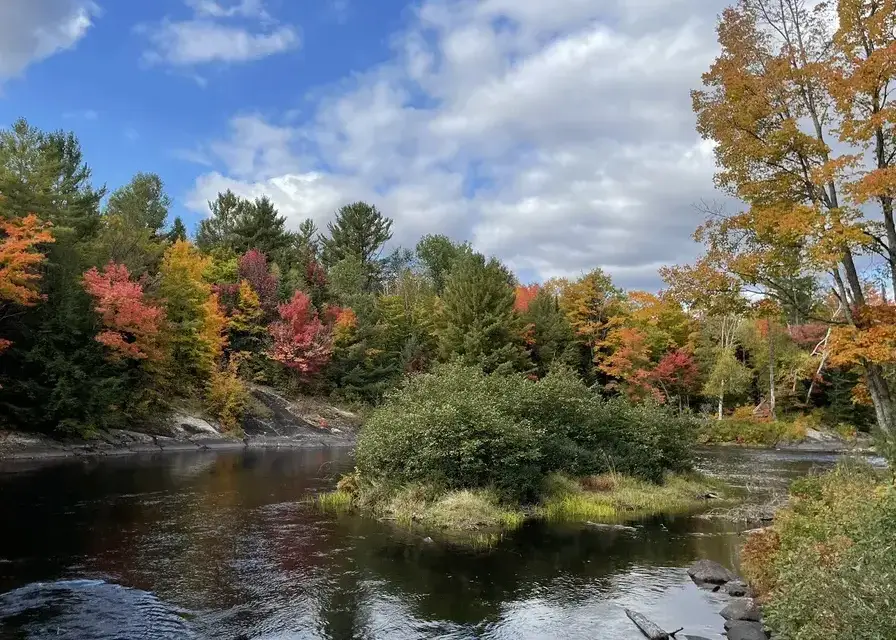 Oxtongue Rapids Trail