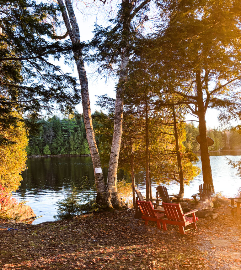 Lakeside firepit with seating